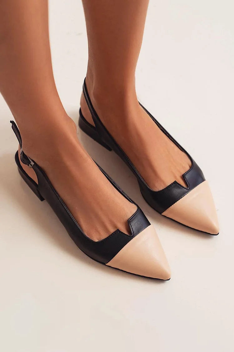 VITTORIA | Elegante ballerina's met spitse neuzen en twee-tone details voor een verfijnde stijl