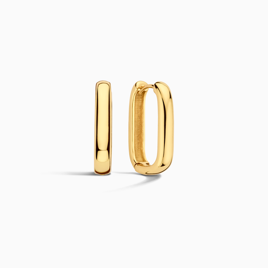 Iconische Ringen